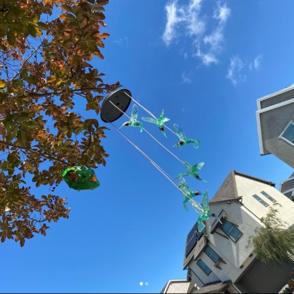 SOLARBIRD
