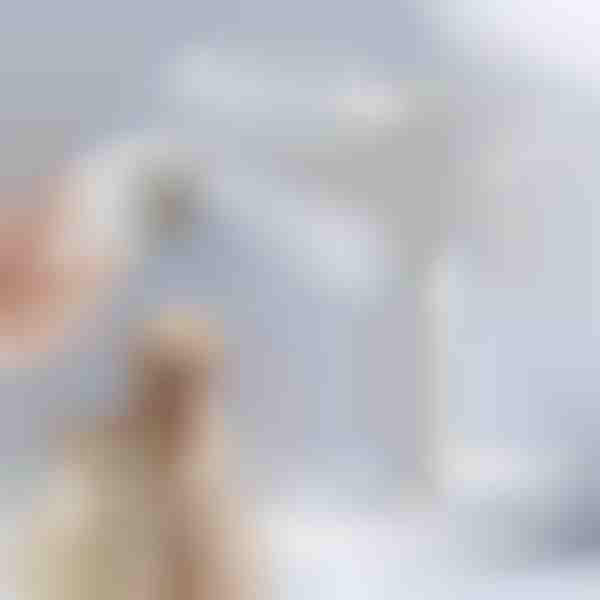 Escova de vapor para cuidados de cães e gatos | GROOMSY